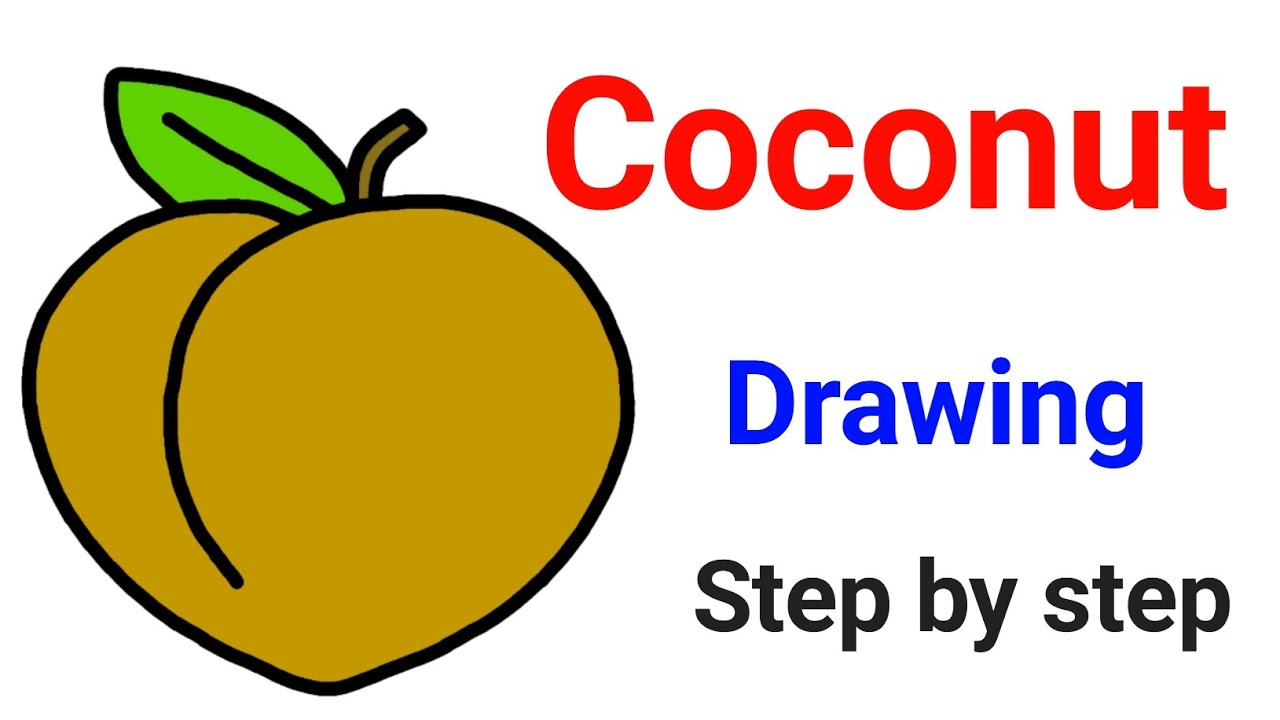Coconut drawing easy step by step 