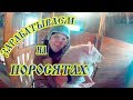 ЗАРАБОТОК НА ПОРОСЯТАХ! Выгодно содержать свиноматку.