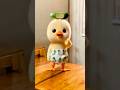cucumber cat #duckdance #petdance #cucumber #trending #papapdol