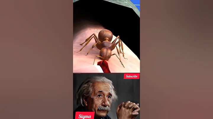 SiGMA PHYSICS TEACHER #shorts #sigmaphysics #physics