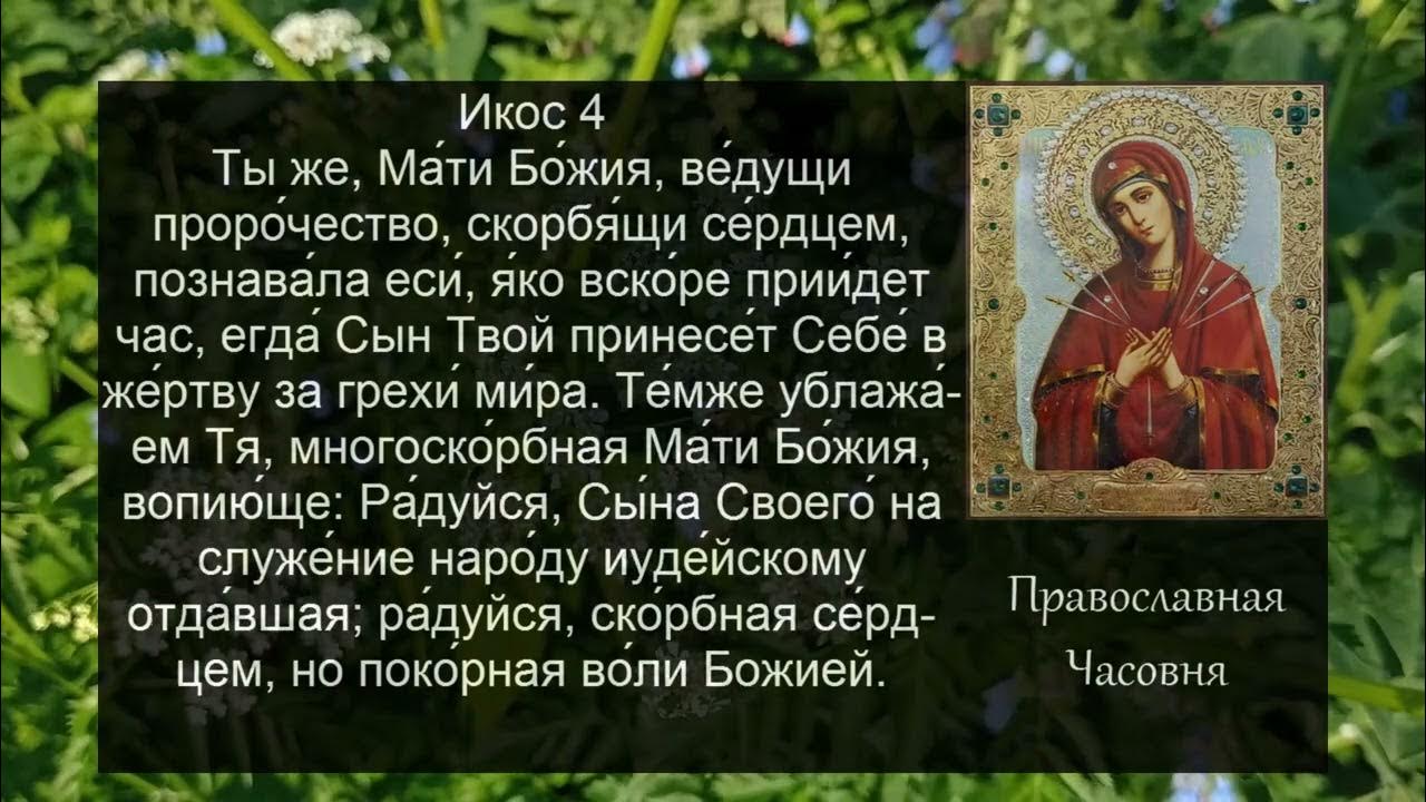 Акафист пресвятой богородице умягчение. Акафист пресвятой богородице умягчение