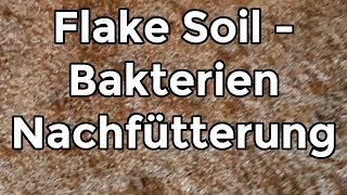 Flake Soil - Bakterien Nachfütterung