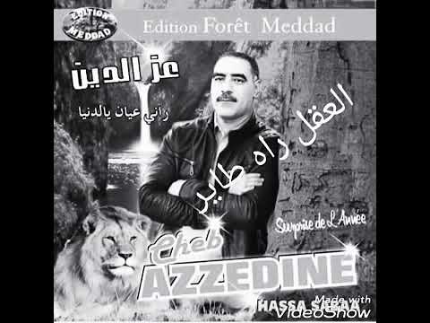 شاب عزدين العقل رآه طاير