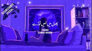 Tekon Lakh Karoran ( Menu Sau Chawa ly ) By Zeeshan Rokhri | Saraiki Slowed and Reverb song