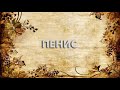 Пенис 📚 - что такое Пенис и как пишется слово Пенис