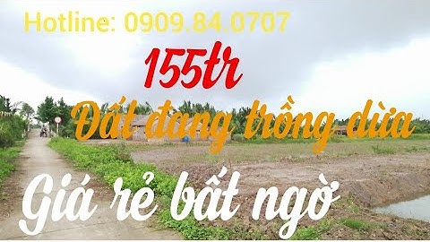 Bds293 Kẹt tiền bán đất trồng dừa giá rẻ 155tr/công bán từ 1300m2 đến hơn 10.000m3 0909.84.0707
