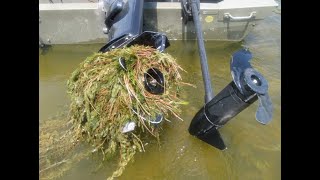 Aquatic Invasive Species Mitigation for Ground Resources