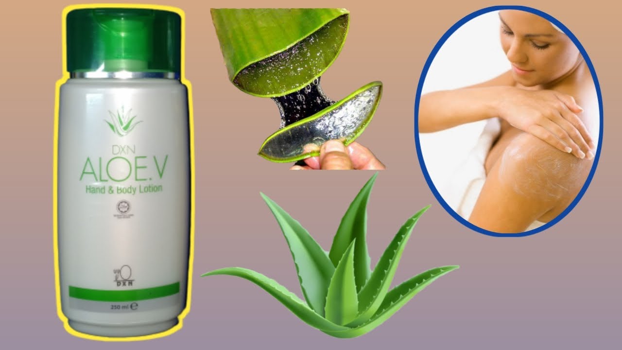 Dxn Aloe V.Hand & Body Lotion Benefits by Raj Chamling Rai YouTube