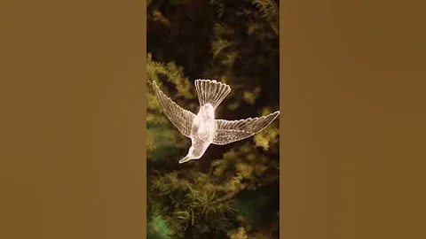 Check out our stage decoration.... #eventmanagement #wedding #weddinginspiration #stagedecor