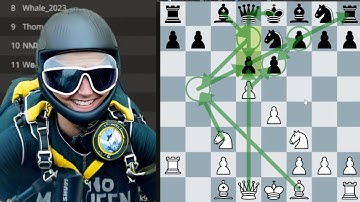 Feeling Adventurous in the July Rapid Arena