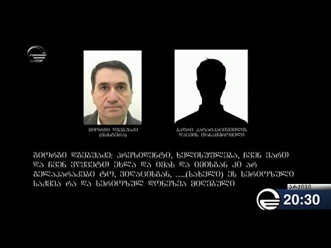 ბადრი პატარკაციშვილის მკვლელობის მომზადების საქმე