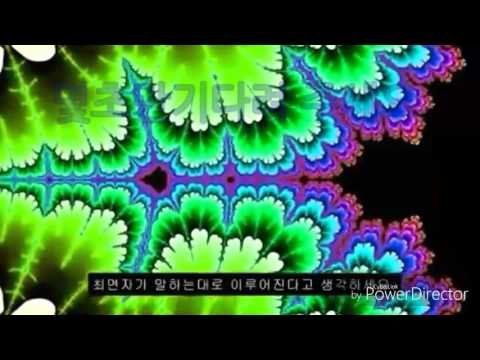 니팔자야2배속
