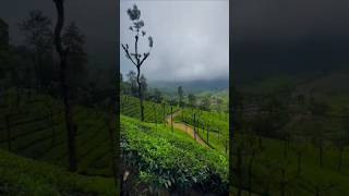 💥மாற்று வழி💥 #shortsspeed #shortsviral #motivational #ytshorts