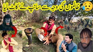 Zalmuo ke waja se sanp ne kat lia