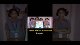 Protein Project - science fair Master Mind's E M High school Duvvada