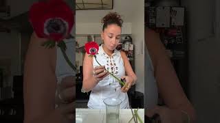 love anemone flowers ugh #flowers #flowerarrangement
love anemone flowers ugh #flowers #flowerarrangement love anemone flowers ugh #flowers #flowerarrangement