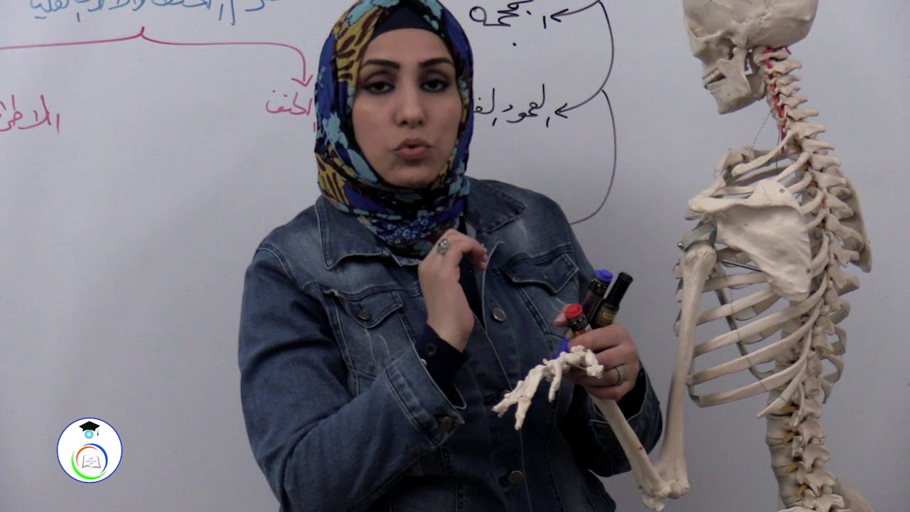 محاضرة مادة الاحياء للصف الثالث المتوسط بعنوان الهيكل الطرفي للست مروة العباسي