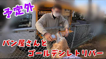 突然パンを
