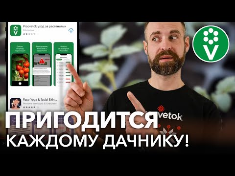 НЕ ПРОПУСТИТЕ! ВАШ ЛИЧНЫЙ ПОМОЩНИК ПО ВЫРАЩИВАНИЮ РАССАДЫ уже готов к работе!