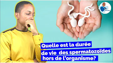 Quelle est la durée de vie