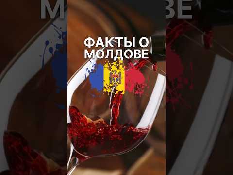 обучаю эмигрантов профессии #байер ✈️ записаться можно в шляпе профиля. #молдова #moldova