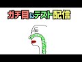 ガチ目にテスト配信