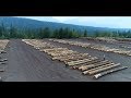 Hand Selecting Logs - Canadian Timberframes Ltd
