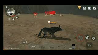 HACKER LIONS VS ONE TIGER | WOLF ONLINE 2
