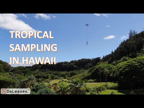 DeLeaves -  Sampling at the National Tropical Botanical Garden in Hawaii