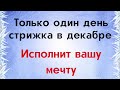 Только в один день стрижка в декабре исполнит вашу мечту | Тайна Жрицы