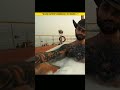 Shahid Kapoor: Romantic or Violent in O Romeo?🤔#shahidkapoor #shorts #shortsfeed