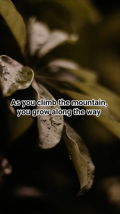 As You Climb the Mountain, You Grow Too #climb #mountain #grow #motivation #quotes #happy #life