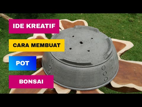 cara-membuat-pot-|-ide-dari-semen-|-covid-19-|-ide-kreatif-membuat-pot-bonsai