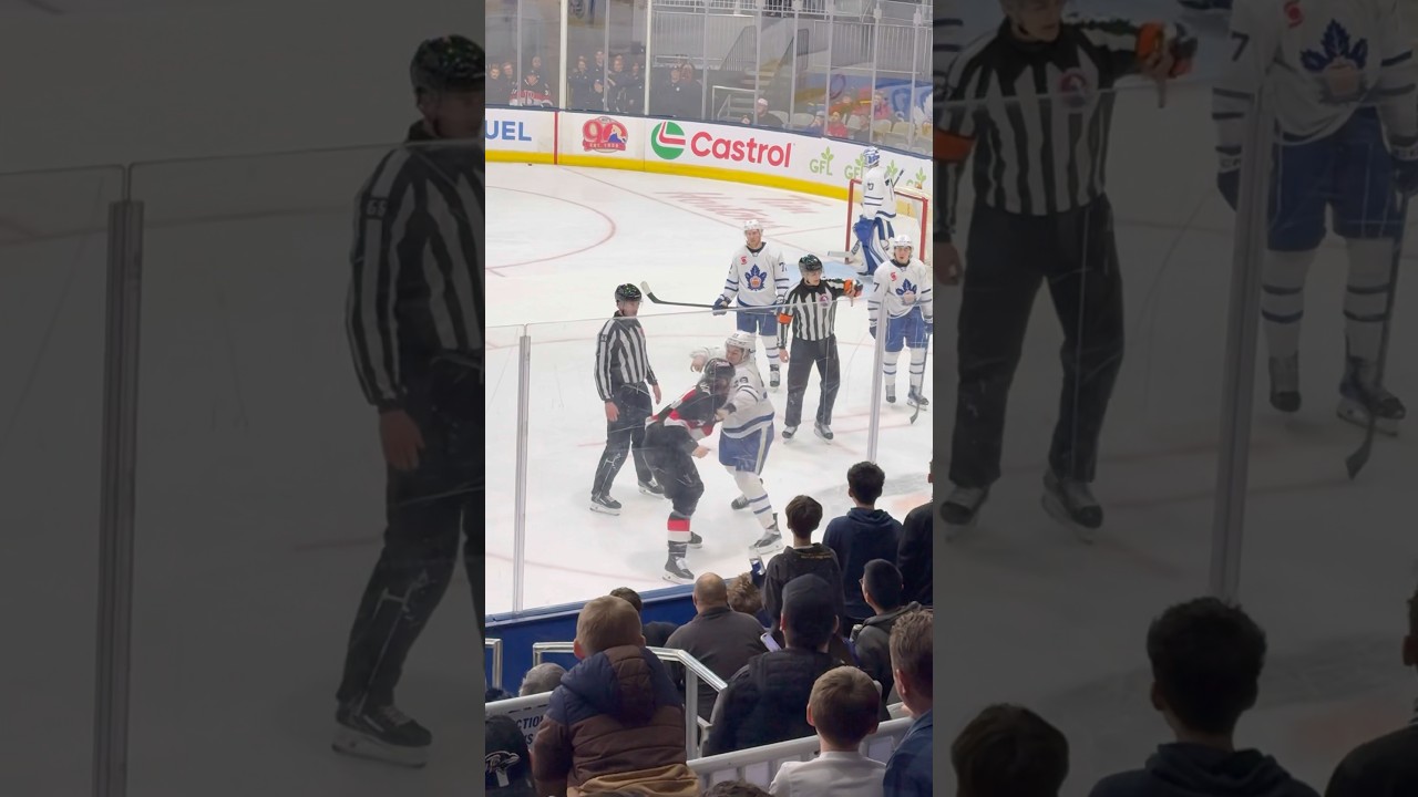 Marlies drop the gloves #shorts #hockey #ahl