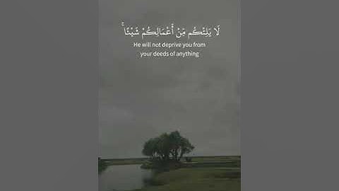 سورة الحجرات من آيه 14 إلى 15 بصوت المرحوم.