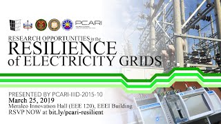 Research Opportunities in the Resilience of Electricity Grids