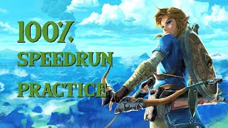 Breath of the Wild 100% Speedrun Practice