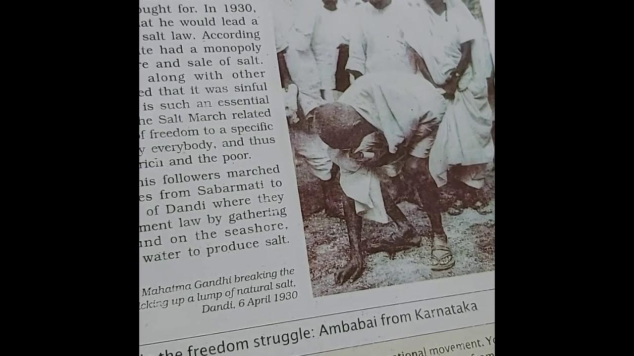 The March to Dandi class 8th chapter 9 YouTube