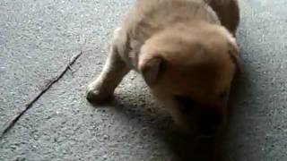 CIMG0556.AVI