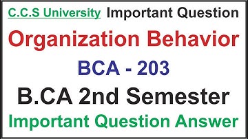 Organization Behaviour Important Question Answer for BCA 2nd Semester  | BCA-203 | CCSU