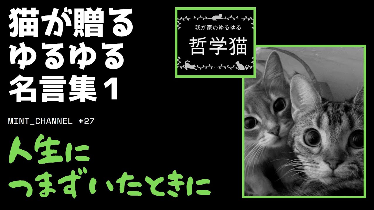 名言 哲学猫１ 人生に疲れた時に見る名言集 17選 Youtube