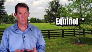 Ramard Total Equine Relief