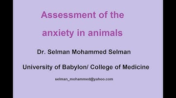 Assessment of the anxiety in animals