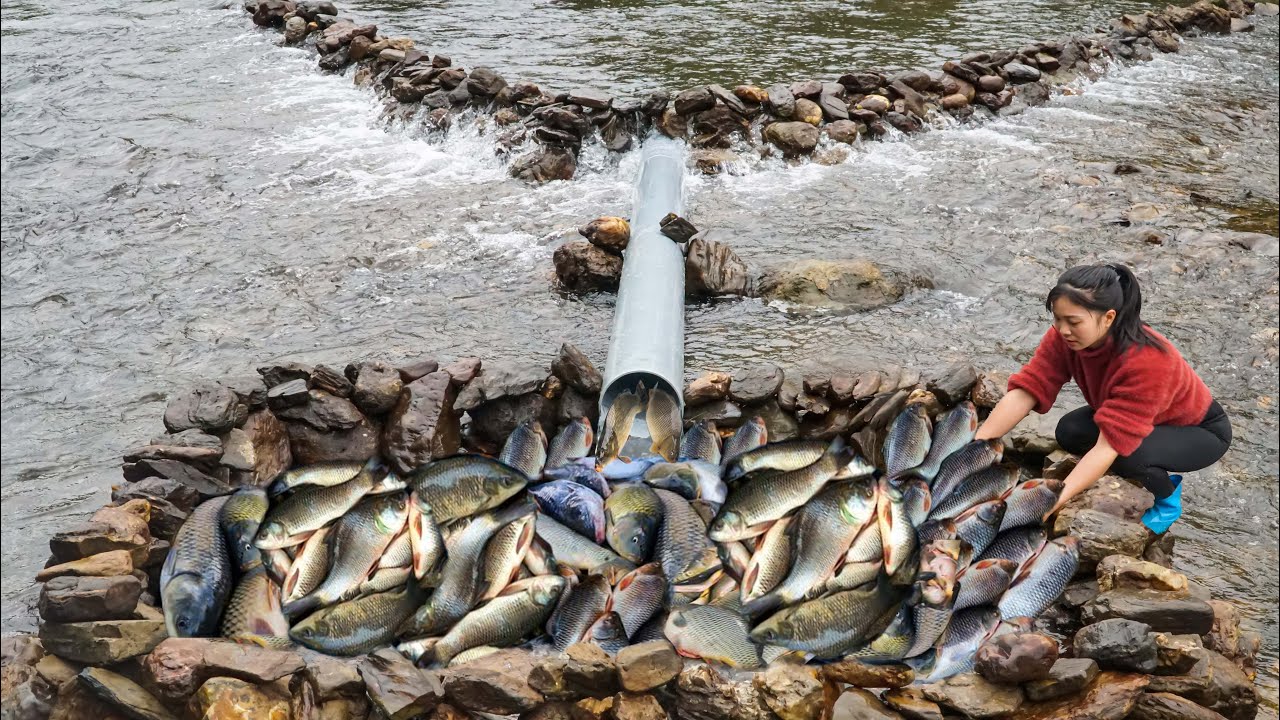 How to Make Simple Fish Trap From Plastic Pipes, The SECRET to Catching ...
