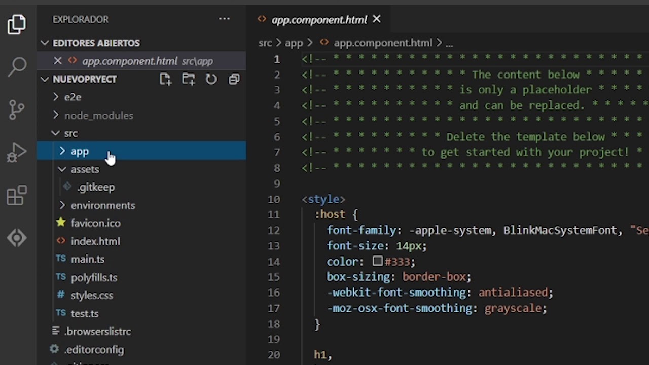 Estructura generada del nuevo proyecto