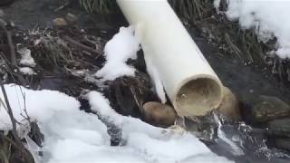 Beaver Deceiver: Living With Beavers