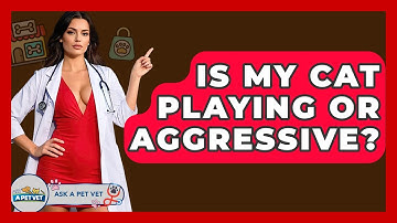 Is My Cat Playing Or Aggressive? - Ask A Pet Vet