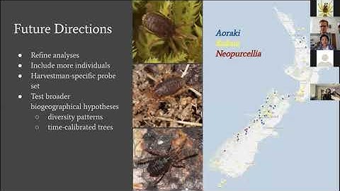 Molecular Phylogenetics & Systematics 12: Rina Morisawa