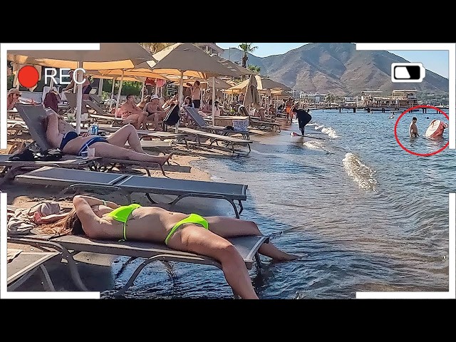Try Not To Laugh 🤣 Top 100 Funniest Videos Ever 😂 | Funny Videos Compilation 2026 #597