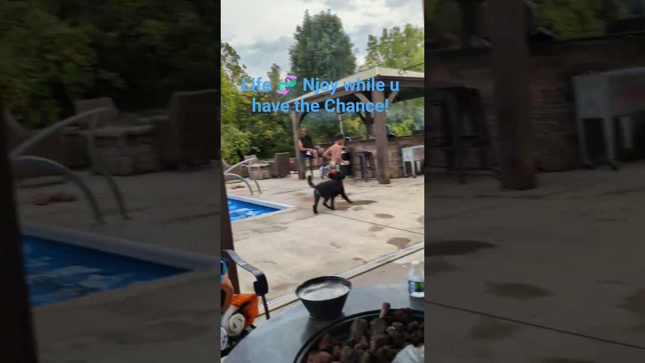 Sept13.25 Where's Chase!?